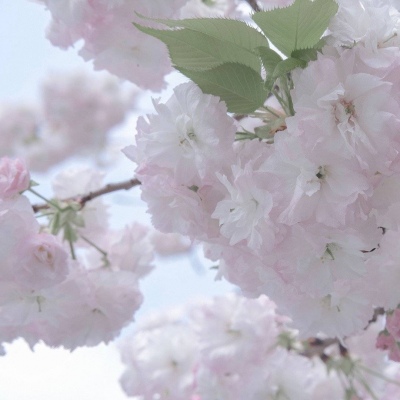 兽设暗黑风格设计兽圈社群