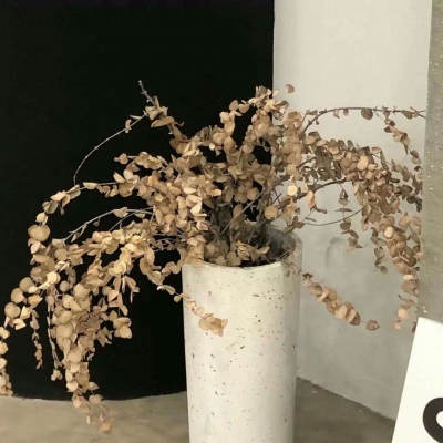 Furry圈经典作品赏析福瑞交流群